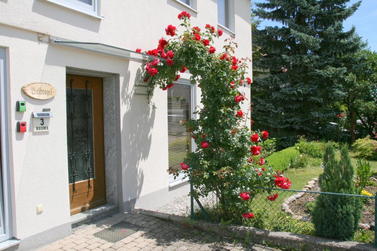 Waldvogel Ferienzimmer Klimatisiert Immenstaad am Bodensee Eksteriør billede